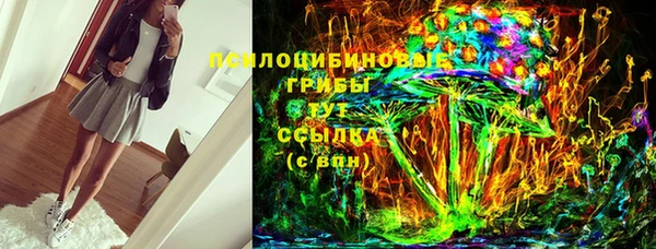 прущие грибы Михайловск