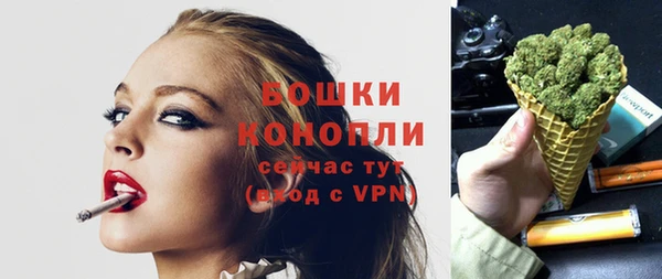 прущие грибы Михайловск