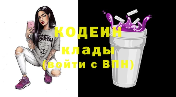 прущие грибы Михайловск