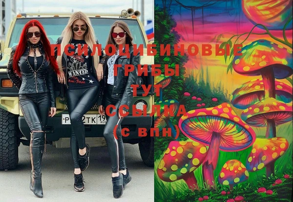 мескалин Михайлов