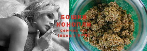 прущие грибы Михайловск