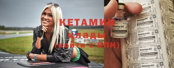 прущие грибы Михайловск