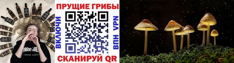 Галлюциногенные грибы GOLDEN TEACHER Купить закладки Чулым
